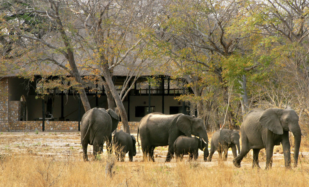 Gwango Heritage Resort Dete Екстериор снимка