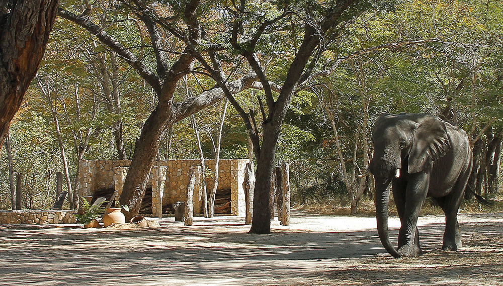Gwango Heritage Resort Dete Екстериор снимка