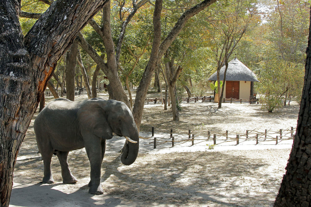 Gwango Heritage Resort Dete Екстериор снимка